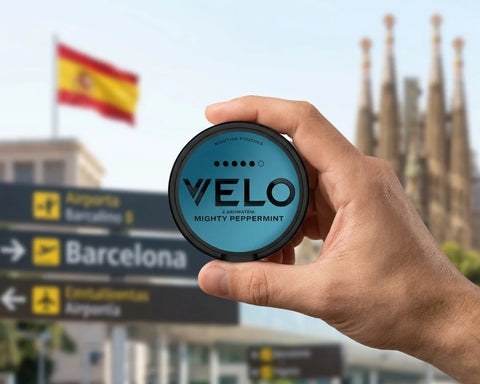 Snus στην Ισπανία νόμιμο; Τι πρέπει να γνωρίζετε