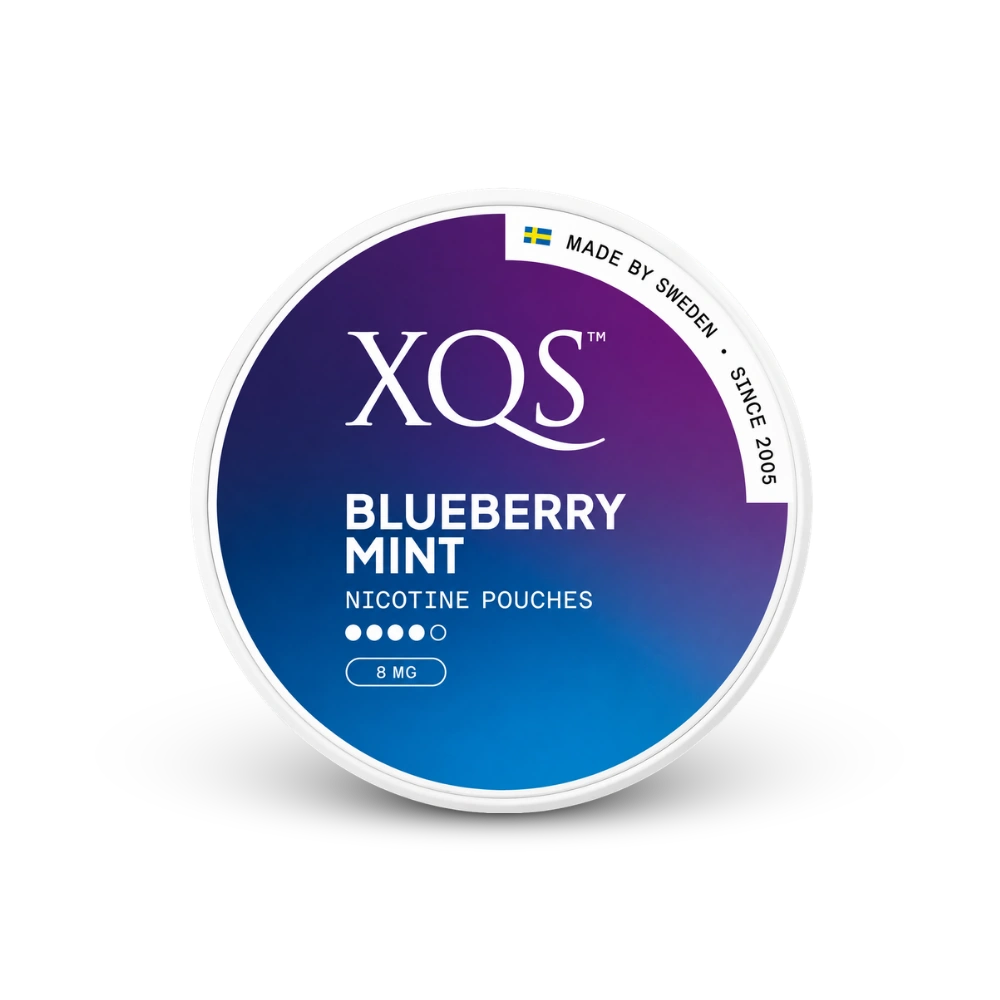 XQS Blueberry Mint Strong – κουτί σακουλακίων νικοτίνης