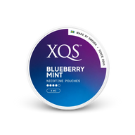 XQS Blueberry Mint Strong – κουτί σακουλακίων νικοτίνης